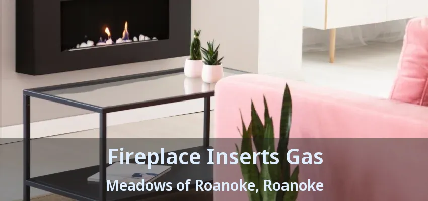 Fireplace Inserts Gas Meadows of Roanoke, Roanoke - TX