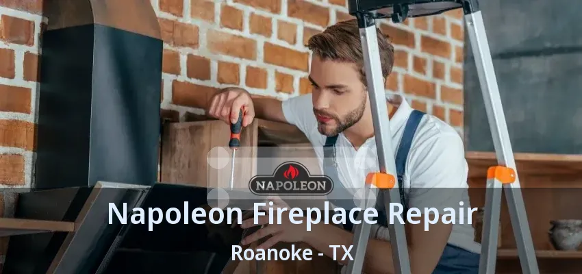 Napoleon Fireplace Repair Roanoke - TX
