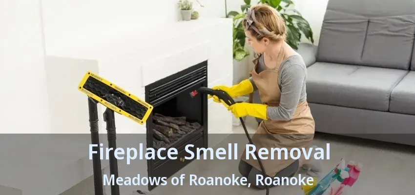 Fireplace Smell Removal Meadows of Roanoke, Roanoke - TX