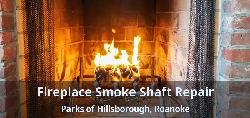 Fireplace Smoke Shaft Repair Parks of Hillsborough, Roanoke - TX