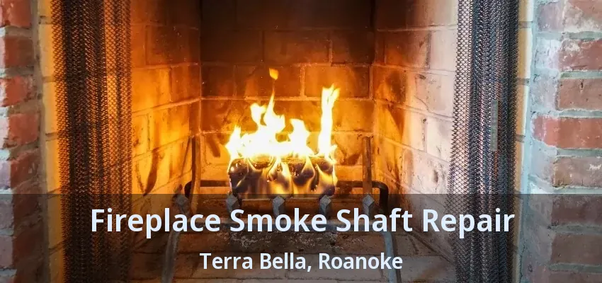 Fireplace Smoke Shaft Repair Terra Bella, Roanoke - TX