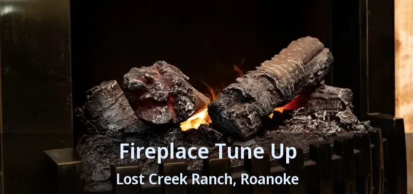 Fireplace Tune Up Lost Creek Ranch, Roanoke - TX