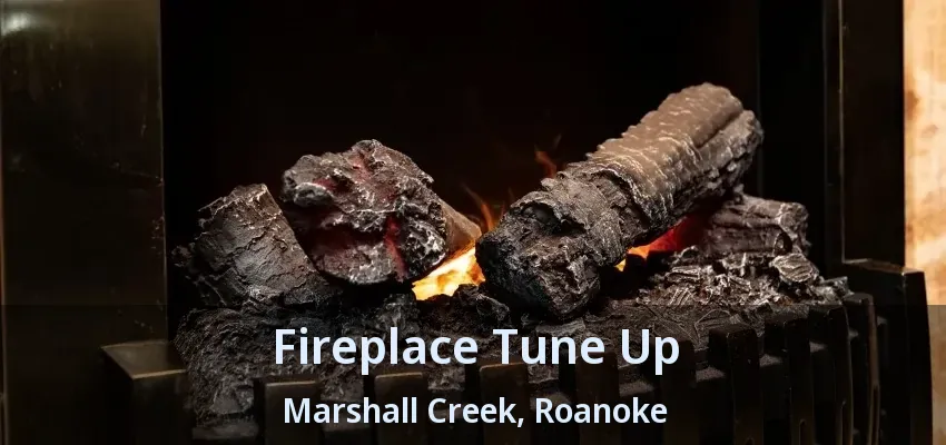 Fireplace Tune Up Marshall Creek, Roanoke - TX