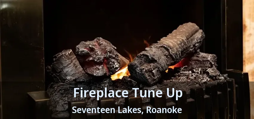 Fireplace Tune Up Seventeen Lakes, Roanoke - TX