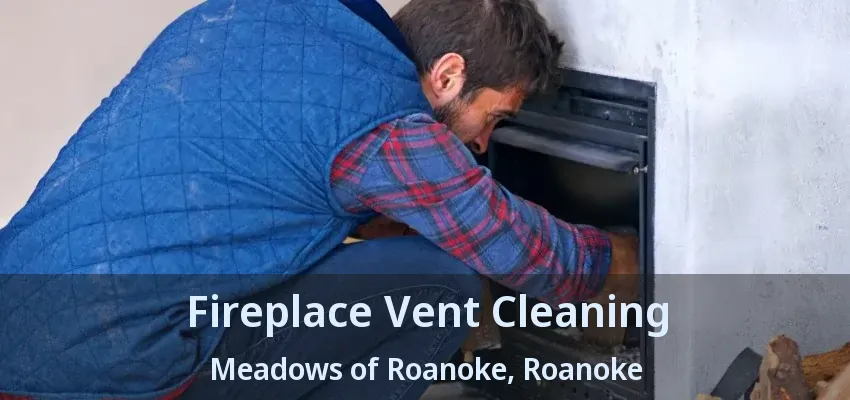 Fireplace Vent Cleaning Meadows of Roanoke, Roanoke - TX