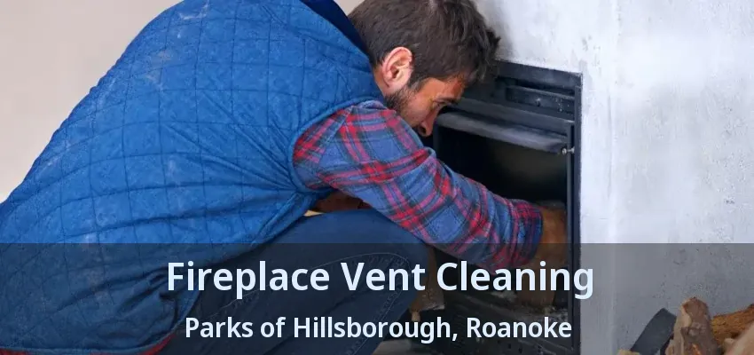 Fireplace Vent Cleaning Parks of Hillsborough, Roanoke - TX