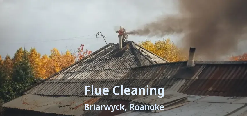 Flue Cleaning Briarwyck, Roanoke - TX