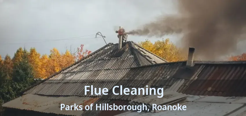 Flue Cleaning Parks of Hillsborough, Roanoke - TX
