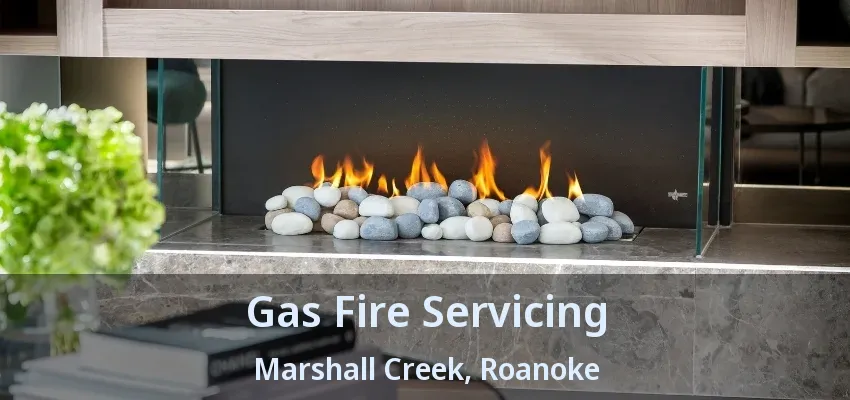 Gas Fire Servicing Marshall Creek, Roanoke - TX