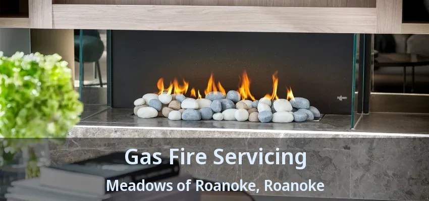 Gas Fire Servicing Meadows of Roanoke, Roanoke - TX