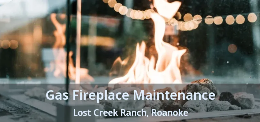 Gas Fireplace Maintenance Lost Creek Ranch, Roanoke - TX