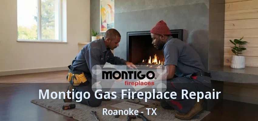 Montigo Gas Fireplace Repair Roanoke - TX