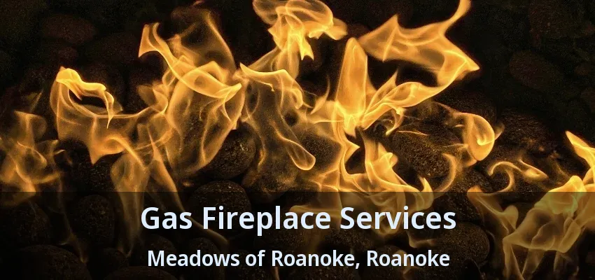 Gas Fireplace Services Meadows of Roanoke, Roanoke - TX