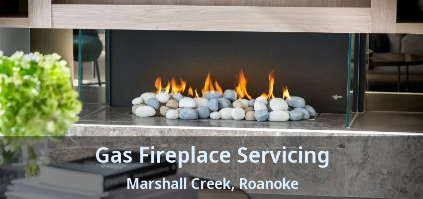 Gas Fireplace Servicing Marshall Creek, Roanoke - TX