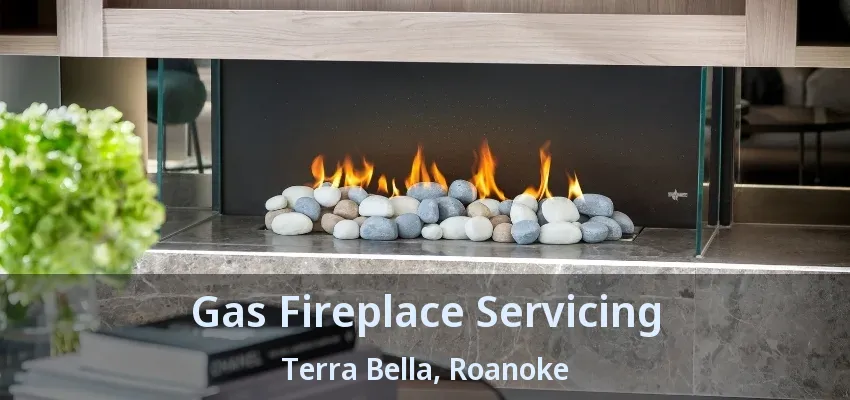 Gas Fireplace Servicing Terra Bella, Roanoke - TX