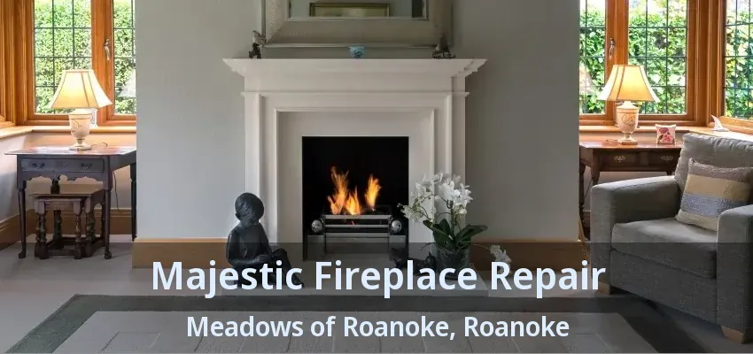 Majestic Fireplace Repair Meadows of Roanoke, Roanoke - TX