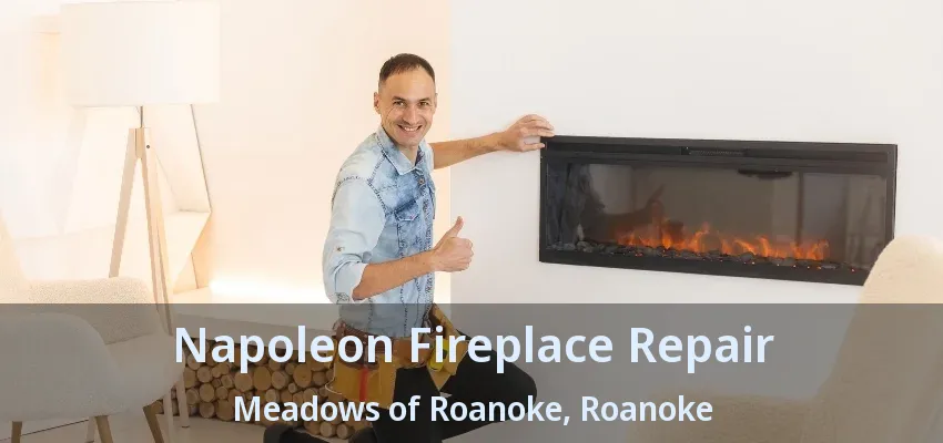 Napoleon Fireplace Repair Meadows of Roanoke, Roanoke - TX
