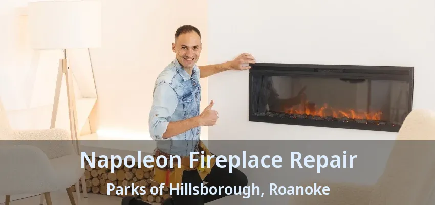 Napoleon Fireplace Repair Parks of Hillsborough, Roanoke - TX
