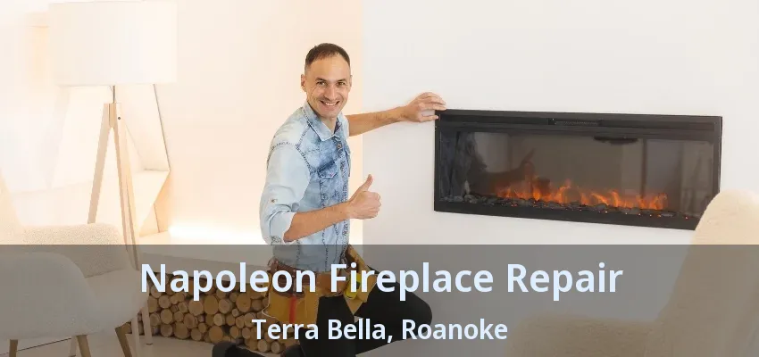 Napoleon Fireplace Repair Terra Bella, Roanoke - TX