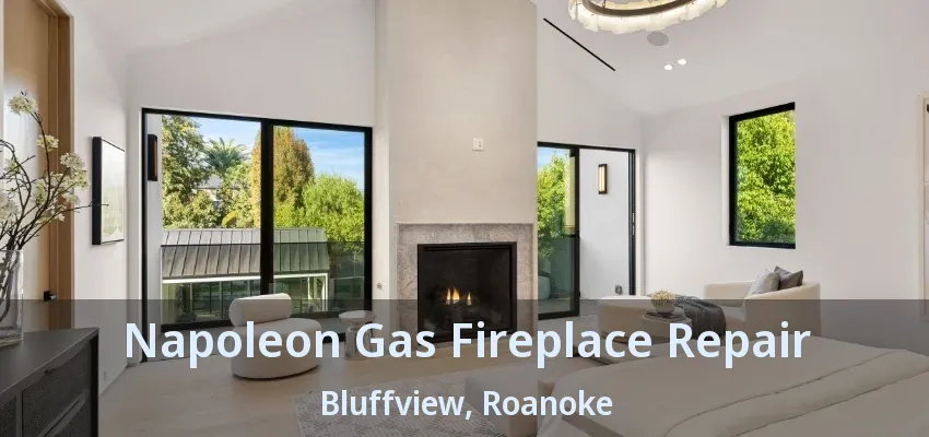Napoleon Gas Fireplace Repair Bluffview, Roanoke - TX