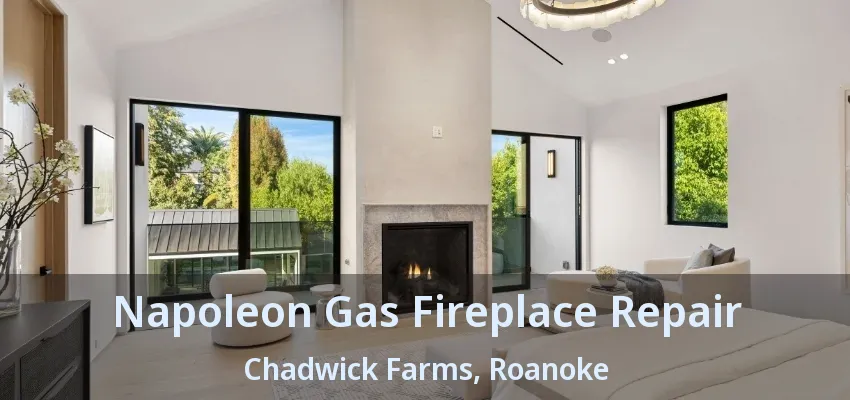 Napoleon Gas Fireplace Repair Chadwick Farms, Roanoke - TX