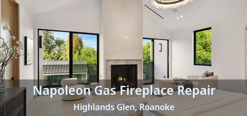 Napoleon Gas Fireplace Repair Highlands Glen, Roanoke - TX