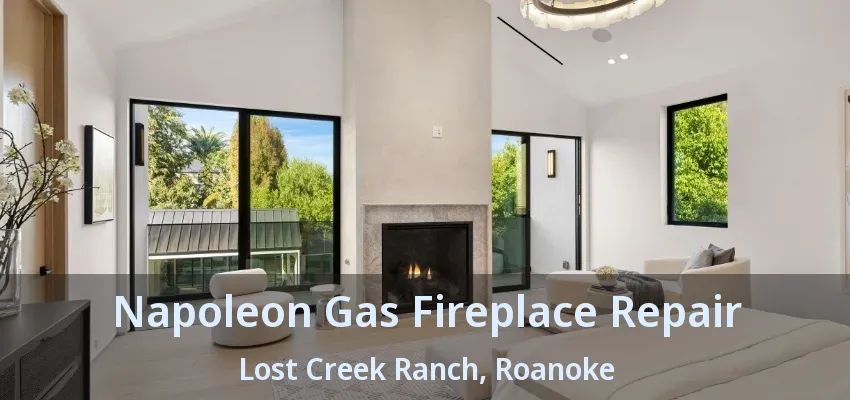 Napoleon Gas Fireplace Repair Lost Creek Ranch, Roanoke - TX