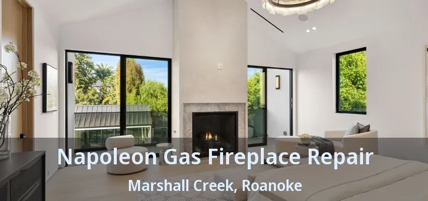 Napoleon Gas Fireplace Repair Marshall Creek, Roanoke - TX