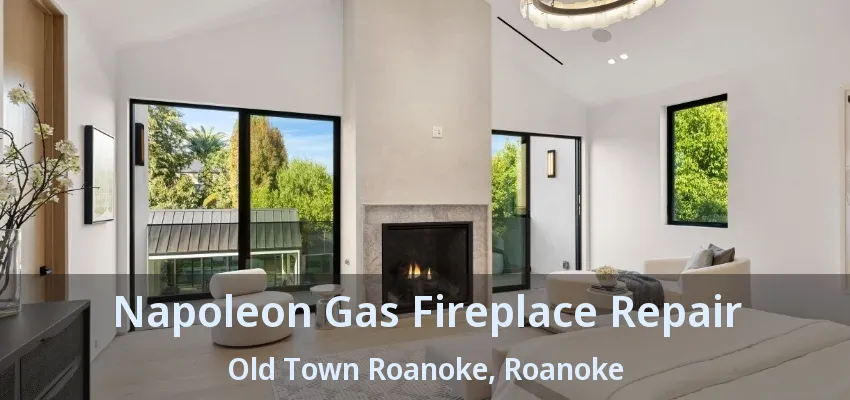 Napoleon Gas Fireplace Repair Old Town Roanoke, Roanoke - TX