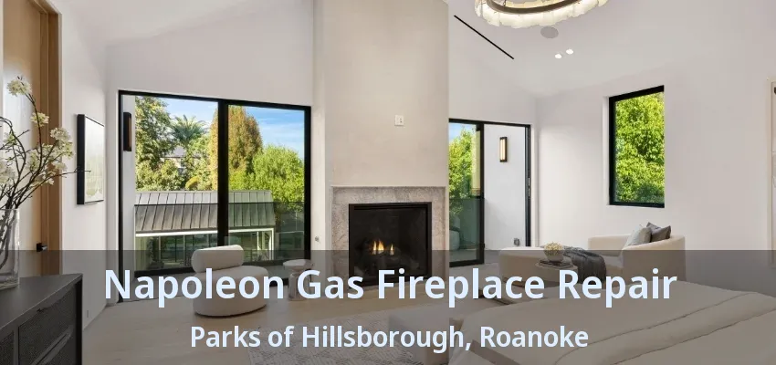 Napoleon Gas Fireplace Repair Parks of Hillsborough, Roanoke - TX
