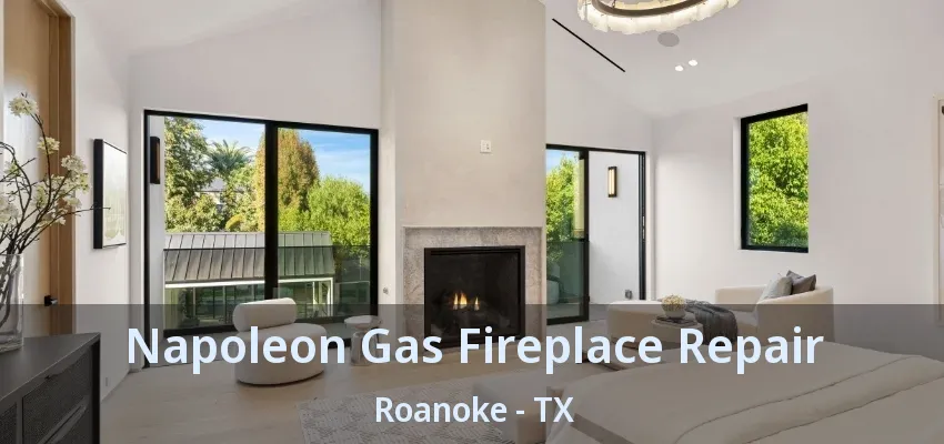 Napoleon Gas Fireplace Repair Roanoke - TX
