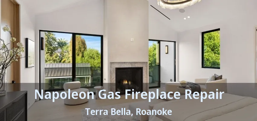 Napoleon Gas Fireplace Repair Terra Bella, Roanoke - TX