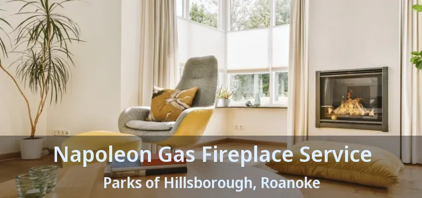 Napoleon Gas Fireplace Service Parks of Hillsborough, Roanoke - TX