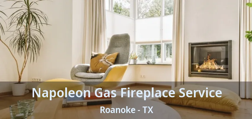 Napoleon Gas Fireplace Service Roanoke - TX