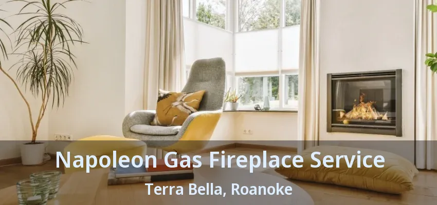 Napoleon Gas Fireplace Service Terra Bella, Roanoke - TX