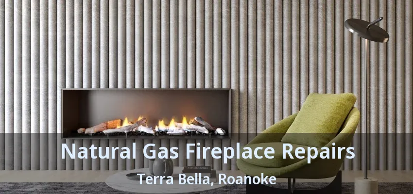 Natural Gas Fireplace Repairs Terra Bella, Roanoke - TX