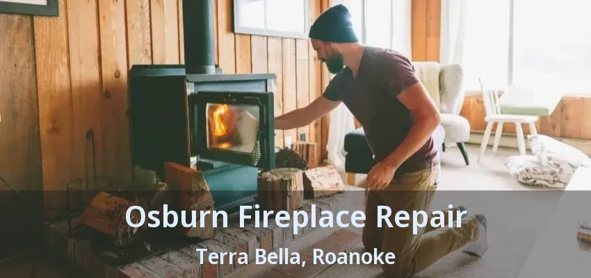 Osburn Fireplace Repair Terra Bella, Roanoke - TX
