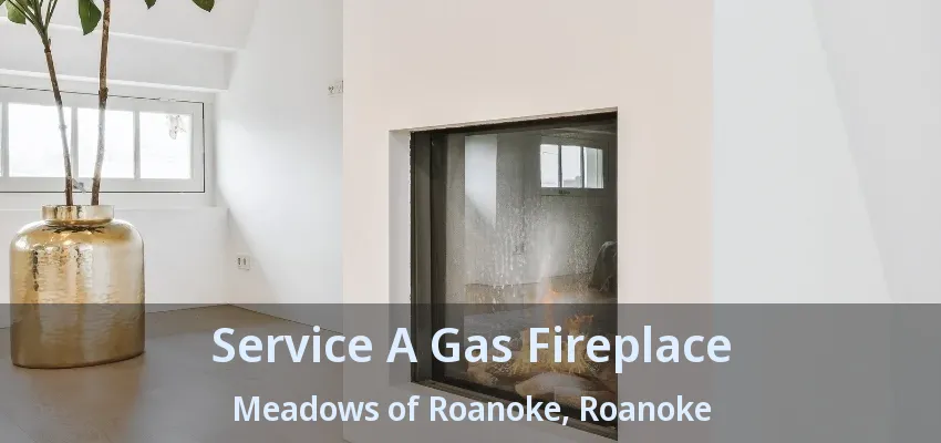 Service A Gas Fireplace Meadows of Roanoke, Roanoke - TX