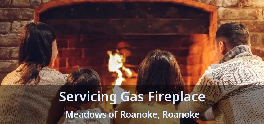 Servicing Gas Fireplace Meadows of Roanoke, Roanoke - TX