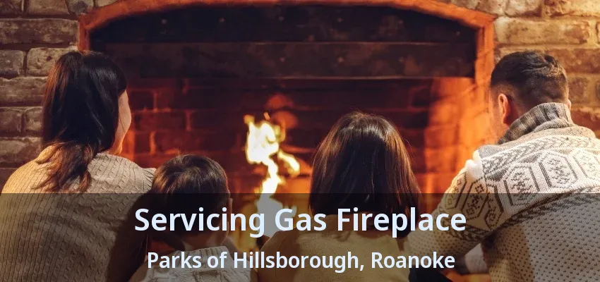 Servicing Gas Fireplace Parks of Hillsborough, Roanoke - TX