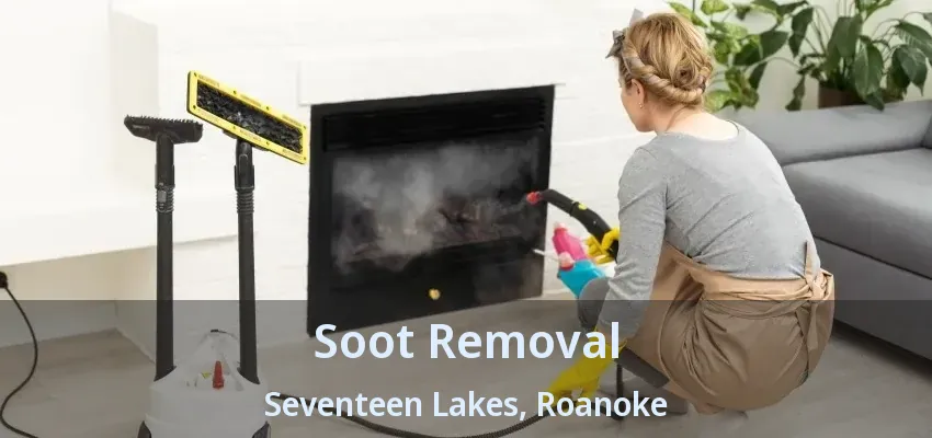 Soot Removal Seventeen Lakes, Roanoke - TX