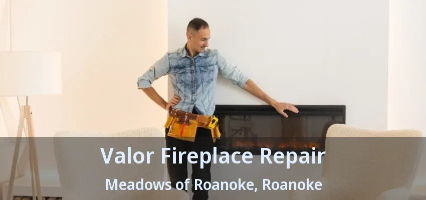 Valor Fireplace Repair Meadows of Roanoke, Roanoke - TX