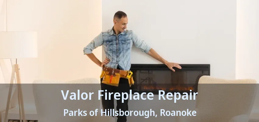 Valor Fireplace Repair Parks of Hillsborough, Roanoke - TX