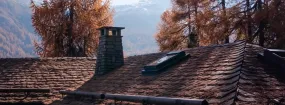 Chimney Animal Removal Roanoke