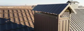 Chimney Cap Services Roanoke