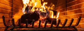 Fireplace Damper Services Roanoke