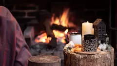 Fireplace Inspection Roanoke