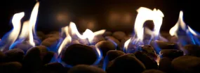 Gas Fireplace Embers Roanoke
