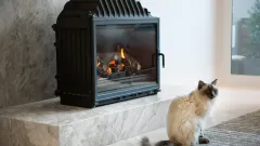 Wood Burning Fireplace Repair Roanoke