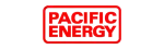 Pacific Energy Ortal Fireplace Repair in Roanoke